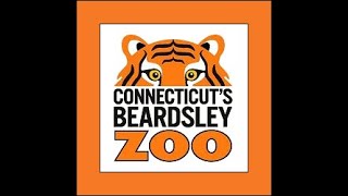 Connecticuts Beardsley Zoo Full Tour 2024 [upl. by Hersh]