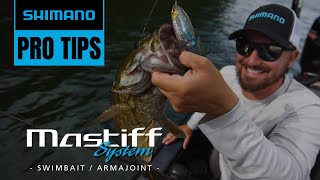 Swimbait Fishing Tackle System  Shimano Pro Tips [upl. by Navoj972]