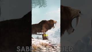 New Species of Sabre Toothed Cat Discovered shorts [upl. by Ynaffad198]