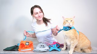 Top 5 Best Cat Harnesses We Tried Them All [upl. by Ho181]