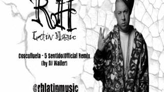 Cosculluela  5 SentidoOfficial Remix by DJ Wailer rhlatinmusic 2011 2012 2013 RH Latin Music [upl. by Akiemat642]