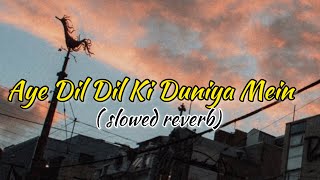 Aye Dil Dil Ki Duniya Mein  Slowed reverb  Fiza  JaanWrites jaanwrites380 [upl. by Domela508]