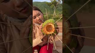 Survival Skills SIMPLE and USEFUL with coconut fish trap bushcraft camping outdoor [upl. by Carling]