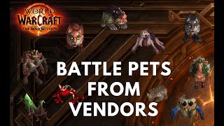 Battle Pets from Vendors in The War Within  WOW WorldOfWarcraft [upl. by Ialohcin]