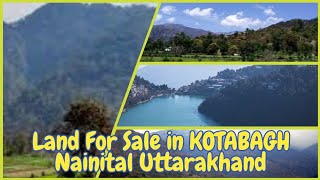 Land for sale in Kotabagh Nainital Uttarakhand  Musa Bangar AnwalaKot  Nainital Bhimtal [upl. by Arehc]