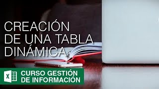 ¿Cómo crear Tablas Dinámicas en Excel  Gestión de la Información 11 [upl. by Arvid]