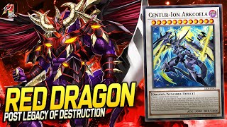 Deck Red Dragon Archfiend Post Legacy of Destruction  EDOPRO  Replays 🎮  Decklist ✔️ [upl. by Remliw333]