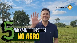 5 áreas promissoras do Agronegócio  Não fique de fora [upl. by Dirgis]