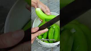 自己在家阳台用废水桶种茄子Grow your own eggplant at home onyour balcony with a waste bucketgarenafreefireshorts [upl. by Enttirb]