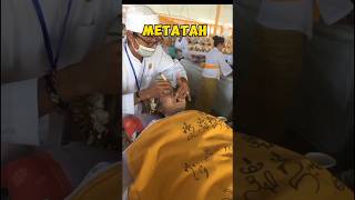 UPACARA METATAH UMAT HINDU DI BALI  JUNA BALI [upl. by Alhahs]