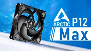 Arctic P12 MAX Review  The Best Budget Fan got BETTER [upl. by Ardnoet]