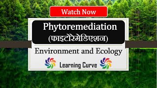 Phytoremediation  Types  Phytoextraction Phytodegradation Etc  Bioremediation  in Hindi  upsc [upl. by Oimetra]