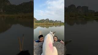 Two babies fell into the lake and luckily a dog rescued them pet Dog lovedog [upl. by Llebiram5]