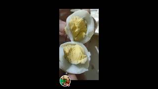 Kodee Vlogs is liveboiled egg [upl. by Weisbart]