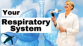 Your RESPIRATORY SYSTEM 🐧🫁🐧 [upl. by Samuella]