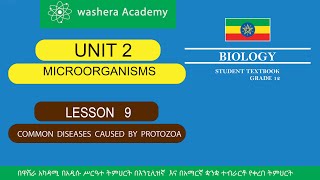 BIOLOGY GRADE 12 UNIT 2 LESSON 9 COMMON DISEASES CAUSED BY PROTOZOA [upl. by Anila]