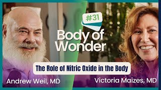 Body of Wonder  The Role of Nitric Oxide in the Body with Dr Louis Ignarro [upl. by Sulihpoeht]