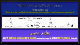 Chin ProstrationSujud  Full Description in Quran  Health Benefits  Salah 2  Part 1 SubPart 3 [upl. by Hendrika]