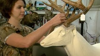 NC Now  Animal Art Taxidermy in NC  UNCTV [upl. by Eerrehs328]