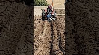 McCormick International 434 Tractor at Cruckton Ploughing Competition  Saturday 14th September 2024 [upl. by Aneele]