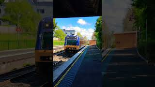 Endeavour N set arriving at Bowral with old city rail livery nswtrains regionaltrains automobile [upl. by Eckmann227]