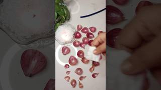 পেঁয়াজের খোসা ফেলে দেন ndecor diy rosemaking onionpeel kitchenwaste NDecor [upl. by Orfinger]