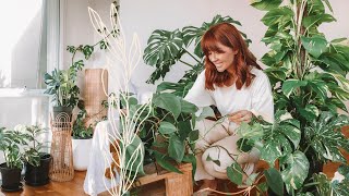 make your house plants thrive 🌿indoor plants care tips amp hacks [upl. by Quickel]