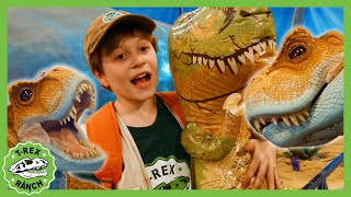 Can You Find the Baby TRex  TRex Ranch Dinosaur Videos for Kids [upl. by Kalvin]