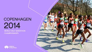 FASTEST FIELD EVER  Copenhagen Half Marathon 2022 [upl. by Araf30]