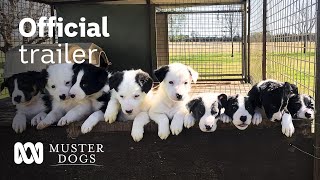 Muster Dogs Season 2 Official Trailer  ABC Australia [upl. by Feucht]