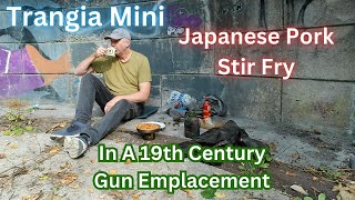 Trangia Mini  Japanese Pork Stir Fry in A 19th Century Gun Emplacement [upl. by Kenji]