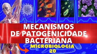 MECANISMOS DE PATOGENICIDADE BACTERIANA  MICROBIOLOGIA BACTÉRIAS PATOGÊNICAS [upl. by Aiuqat]