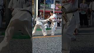 Yakusoku kumite Uechi ryu karate  Karate no hi Day  Sensei Shimabukuro Haruyoshi 9 dan Uechi ryu [upl. by Ynohtnaed]