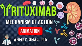 🎬 RITUXIMAB MECHANISM of ACTION in LUPUS NEPHRITIS  MNEMONIC ANIMATION [upl. by Olympe57]