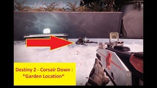 Destiny 2 Corsair Down Garden Location [upl. by Zehc]