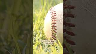 Top 4 Fastpitch Softball Bats softball softballbats softballbat [upl. by Anirok178]