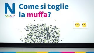 Tutorial  Togliere la muffa [upl. by Alika155]