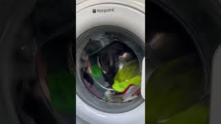 HOTPOINT WASHING MACHINE DOOR ALMOST FLIES OFF [upl. by Carlock]