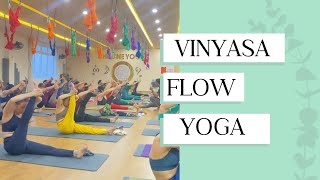 Vinyasa flow yoga class  viral trending [upl. by Zamora93]