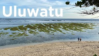 Bali Christmas Trip  Green Bowl Beach Uluwatu Indonesia [upl. by Baalbeer922]