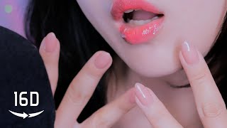 ASMR Most Tingly Best 16D triggers word Ever 👂 [upl. by Novello]