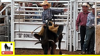 Calf amp Steer Riding  2022 Saints Roost Ranch Rodeo  Saturday [upl. by Darraj624]