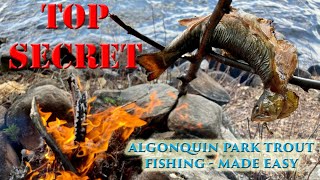 The SECRETS to Finding Algonquin Park Trout  A Complete How To Fishing Guide [upl. by Hulburt]