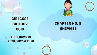 Chapter 5 Enzymes IGCSE Paper Biology 0610 [upl. by Drawdesemaj]