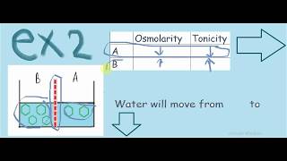 osmolarity vs tonicity  شرح بالعربي [upl. by Fern]