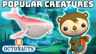 ​Octonauts  Popular Creatures  100 Mins  Cartoons for Kids  Underwater Sea Education [upl. by Rabah]