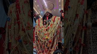 Kahe ko Maiya Bhai Matwali 🙏Badi Mahakali Garhafatak wali jabalpur🙏maa navratridj ytshorts [upl. by Cori]