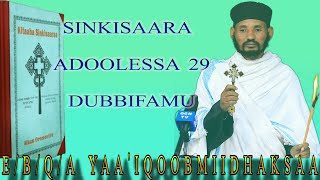 Sinkisaara Adoolessa 29 Dubbifamu Qoomos Abbaa Yaaiqob Miidhaksaa [upl. by Penelope606]