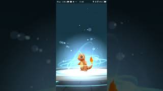 Charmander evolving into charmeleon and charmeleon evolving into charizard [upl. by Hada]