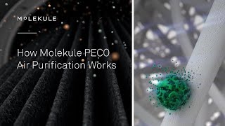 How Molekule PECO Air Purification Works [upl. by Igiul]